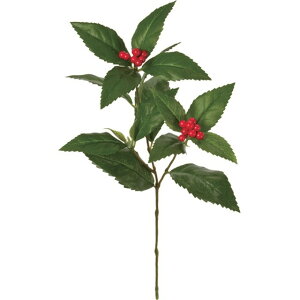 痼Xv[ RED  t[ 痼 [TDLFJ002308] ϕs|NNn   Xܑ t fBXvC t[ tFCN tFCNt[ bh O[