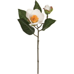 t 1@@WHITE  t[  [TDLFJ005168-001] ϕs