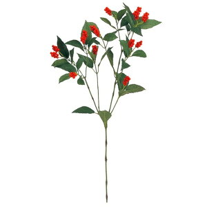 t痼@ RED  t[ 痼 [TDLFJ007838] ϕs|NNn   Xܑ t fBXvC t[ tFCN tFCNt[ bh O[