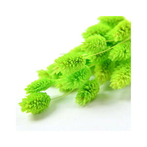 L40cm t@X@hC CgO[ hCt[ t[ J[ [TDLFLDR0016-770] ϕs|VRf  tFCNO[   t fR[V Cxg p[eB