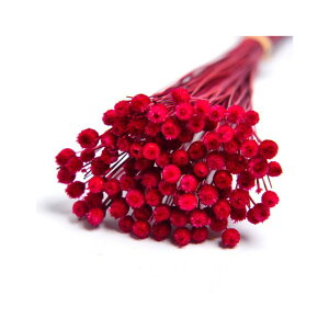 ��L30cm �W���W���_�@�h���C �_�[�N�s���N �h���C�t�����[ �t�����[ �J���[ [TDLFLDR0017-930] ������ϕs��|�V�R�f�� ���� �t�F�C�N�O���[�� ���� ���� ���t �f�R���[�V���� ���� �C�x���g �p�[�e