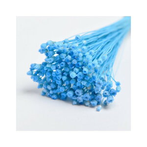 ��L30cm �W���W���_�@�h���C ���C�g�u���[ �h���C�t�����[ �t�����[ �J���[ [TDLFLDR0017-940] ������ϕs��|�V�R�f�� ���� �t�F�C�N�O���[�� ���� ���� ���t �f�R���[�V���� ���� �C�x���g �p�[�e