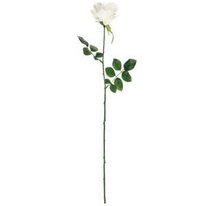 �~�V�F�����[�Y ��1�@�@WHITE ���� �t�����[ ���[�Y �΂� [TDLFM000115-001] ������ϕs��