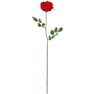 �~�V�F�����[�Y ��3�@�@RED ���� �t�����[ ���[�Y �΂� [TDLFM000115-003] ������ϕs��