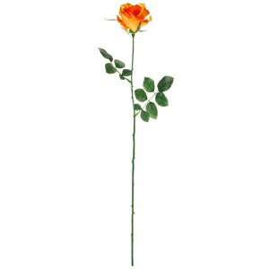 �~�V�F�����[�Y ��29�@DK�DOR ���� �t�����[ ���[�Y �΂� [TDLFM000115-029] ������ϕs��
