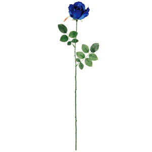 �~�V�F�����[�Y ��33�@RYL�^BL ���� �t�����[ ���[�Y �΂� [TDLFM000115-033] ������ϕs��