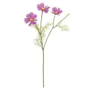 �i�`���[���R�X���X ��12�@LTORC ���� �t�����[ �R�X���X [TDLFM001178-012] ������ϕs��