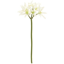 楽天市場 ネリネ 花 観葉植物 花 ガーデン Diy の通販