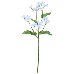 u[X^[t@C 5@@LTBL 24{  t[ u[X^[ [TDLFM002508-005] ϕs