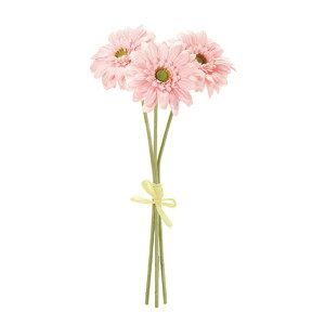 \CK[xoh 2@@PINK  t[ K[x [TDLFM002832-002] ϕs