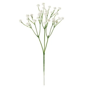 ݑsbN 1@@WHITE  t[ ݑ Wv\ [TDLFM003763-001] ϕs