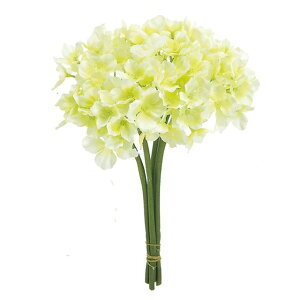 TnChWA 1@@CRDGR  t[  nChWA [TDLFM004182-001] ϕs