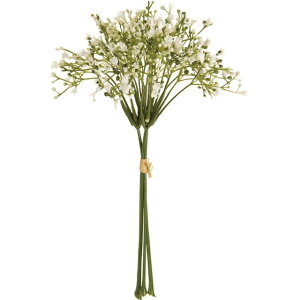 v}Wv\oh WHITE  t[ ݑ Wv\ [TDLFM004761] ϕs