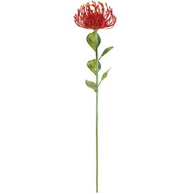 楽天市場 ピンクッション 花 ガーデン Diy の通販