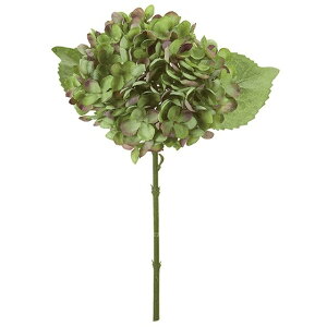 onChWA 24@GREEN  t[ AWTC  z nChWA [TDLFM006059-024] ϕs