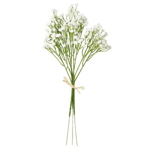 GNWv\ CREAM  t[ ݑ Wv\ [TDLFM006688] ϕs