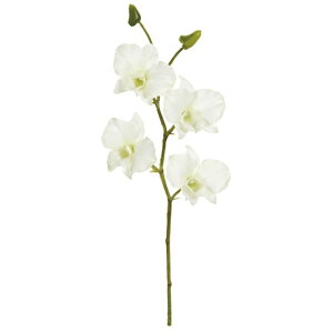 tbVft@ 1@@WHITE  t[ I[Lbh  [TDLFM006715-001] ϕs