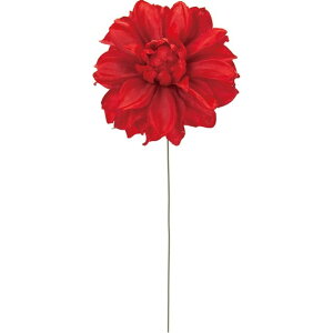 |e_AsbN 3@@RED  t[ _A [TDLFM006955-003] ϕs