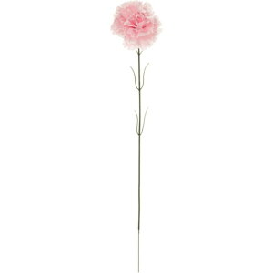 �}�U���[�J�[�l�[�V���� ��2�@�@PINK 50�{���� ���� �t�����[ �J�[�l�[�V���� [TDLFM007014-002] ������ϕs��