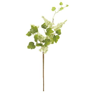 p}x[Xv[ 1@@WHITE   ʕ  p  x[iʎj [TDLFM007311-001] ϕs