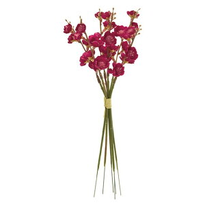 aԃsbN 16@BEAUTY  t[ ~ [TDLFM007313-016] ϕs|NNn   Xܑ t fBXvC t[ tFCN tFCNt[  sN