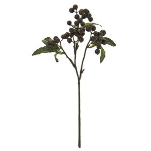�t���[�Y�x���[ ��20�@BLACK ���� ������ �ʕ� ��� �p�� ������ �x���[�i���ʎ��j [TDLFM007569-020] ������ϕs��