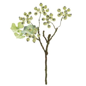 O[X[Nx[V[g FRDGR   ʕ  p  x[iʎj [TDLFM007582] ϕs