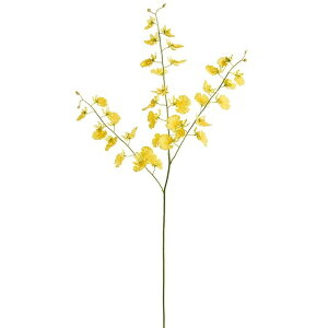 �n�j�[�h���b�v�I���V�W�E���@S YELLOW ���� �t�����[ �I���V�W���[�� [TDLFM007915] ������ϕs��