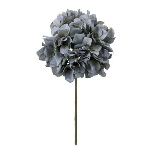 AgnChWA 15@GREY  t[  nChWA [TDLFM025047-015] ϕs