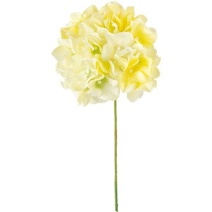 AXnChWA 4@@YELLOW  t[  nChWA [TDLFM025048-004] ϕs