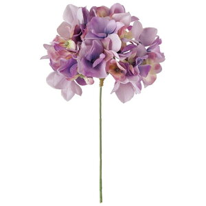 AXnChWA 11@LAV  t[  nChWA [TDLFM025048-011] ϕs