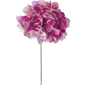 AXnChWA 12@ORCHID  t[ AWTC  z nChWA [TDLFM025048-012] ϕs