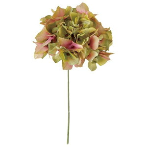 AXnChWA 24@GR^MV  t[  nChWA [TDLFM025048-024] ϕs