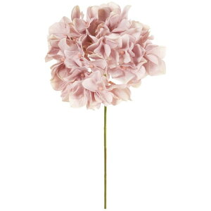 AXnChWA 42@MAUVE  t[  nChWA [TDLFM025048-042] ϕs