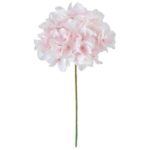 AXnChWA 102@WH^PK  t[  nChWA [TDLFM025048-102] ϕs