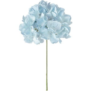 AXnChWA 105@LTBL  t[  nChWA [TDLFM025048-105] ϕs