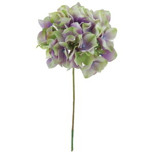 AXnChWA 111@LV^GR  t[  nChWA [TDLFM025048-111] ϕs