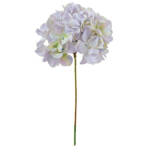 AXnChWA 115@GY^BL  t[  nChWA [TDLFM025048-115] ϕs