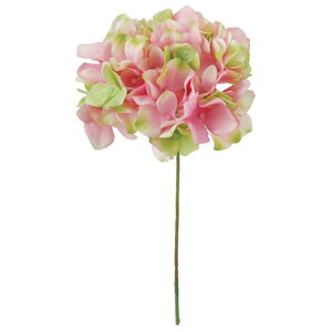 AXnChWA 152@PK^GR  t[  nChWA [TDLFM025048-152] ϕs