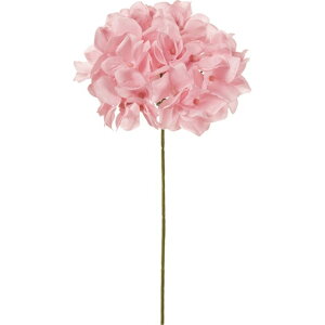 AXnChWA 202@PRPK  t[  nChWA [TDLFM025048-202] ϕs