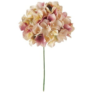 A[xgnChWA 48@CR^MV  t[ AWTC  z nChWA [TDLFM025049-048] ϕs