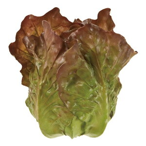 Tj[^X GRBR   ʕ  p ؂̑ [TDLFV001804] ϕs