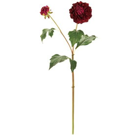 楽天市場 アンジェ 花 ガーデン Diy の通販