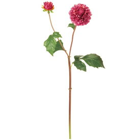 楽天市場 アンジェ 花 ガーデン Diy の通販