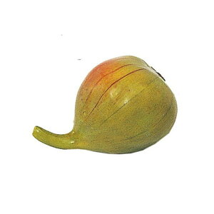 C`WN@O[ GREEN   ʕ  p ʕ̑ [TDLFW032801] ϕs