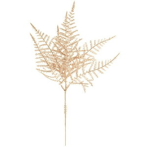 AXpVp[jsbN CHAMPAGNE  O[ [t A AXpKX [TDLFX005880] ϕs