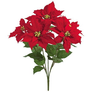 tbV|CZ`AubV5 RED  t[ |CZ`A [TDLFX006331] ϕs