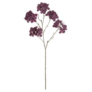 BInChWA PURPLE  t[  nChWA [TDLFX009353] ϕs