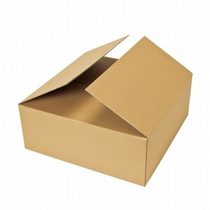 [XBOX40AA { bsO  pbP[W AWBOX [XBOX [TDLGF003780] ϕs| t fBXvC {bNX  5 [Xp 42.5cm