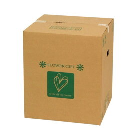 フラワーメールボックスMS リボン ラッピング 包装資材 パッケージ アレンジBOX リースBOX [TDLGF028200] 代引決済不可|装飾 飾り付け ディスプレイ ボックス 箱 15枚 幅38cm 高さ44cm